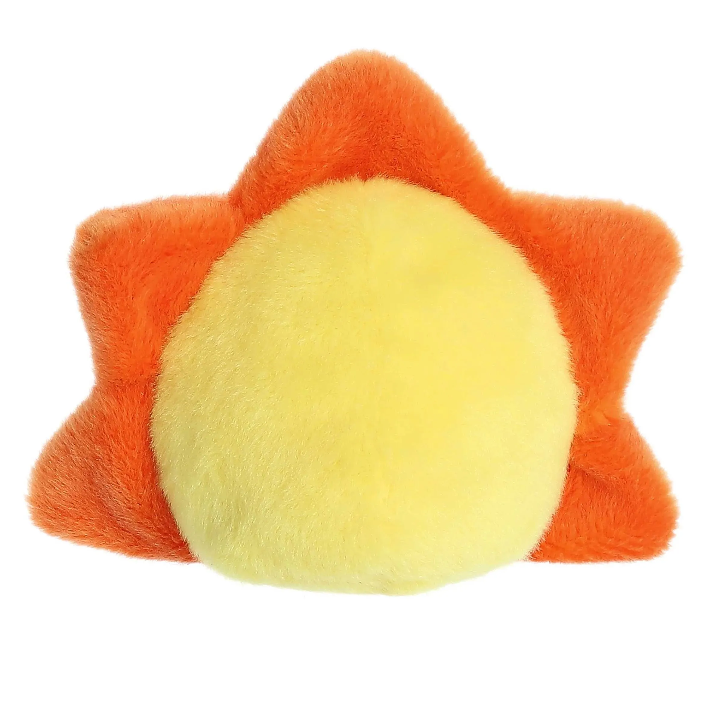 Aurora palm pal rae sun