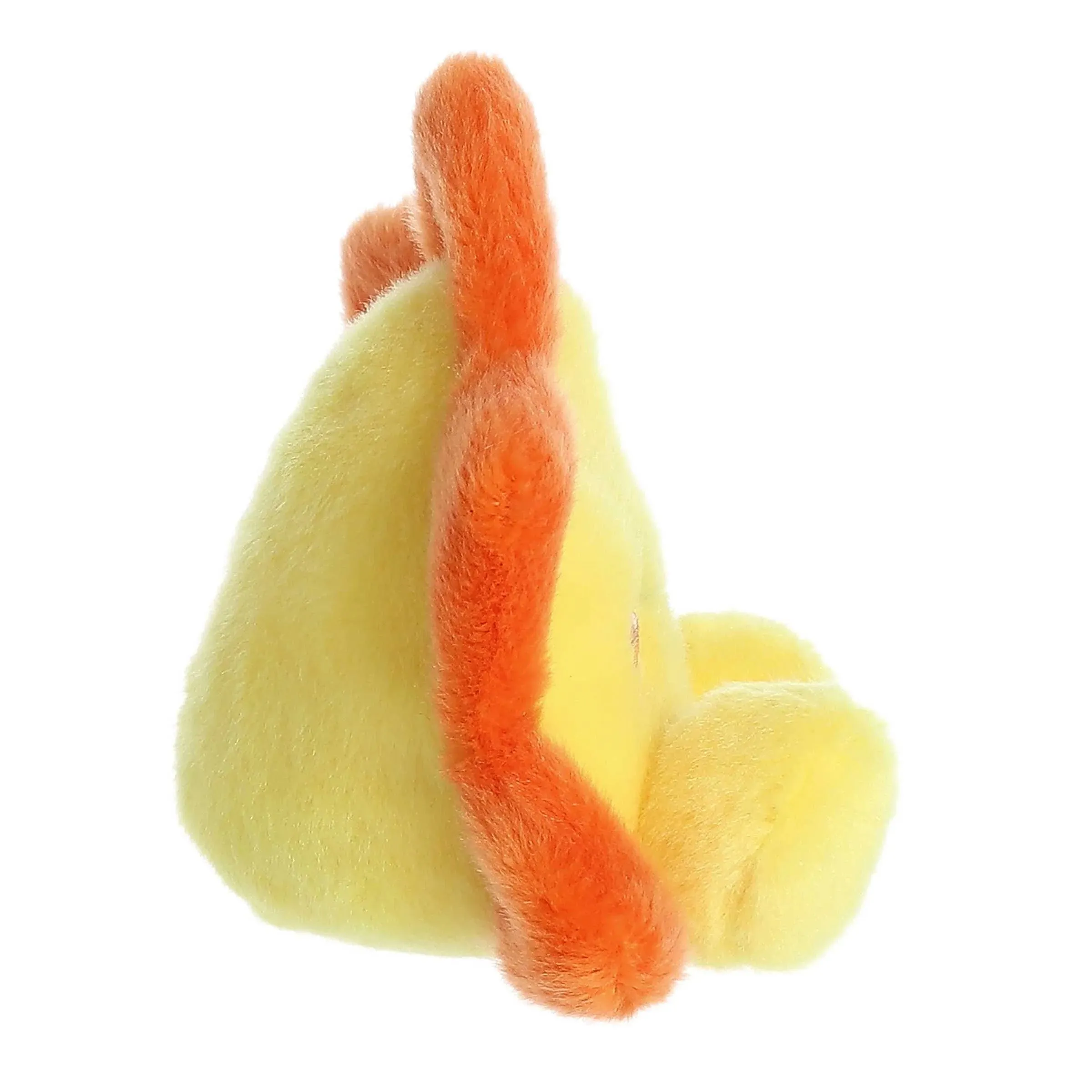 Aurora palm pal rae sun