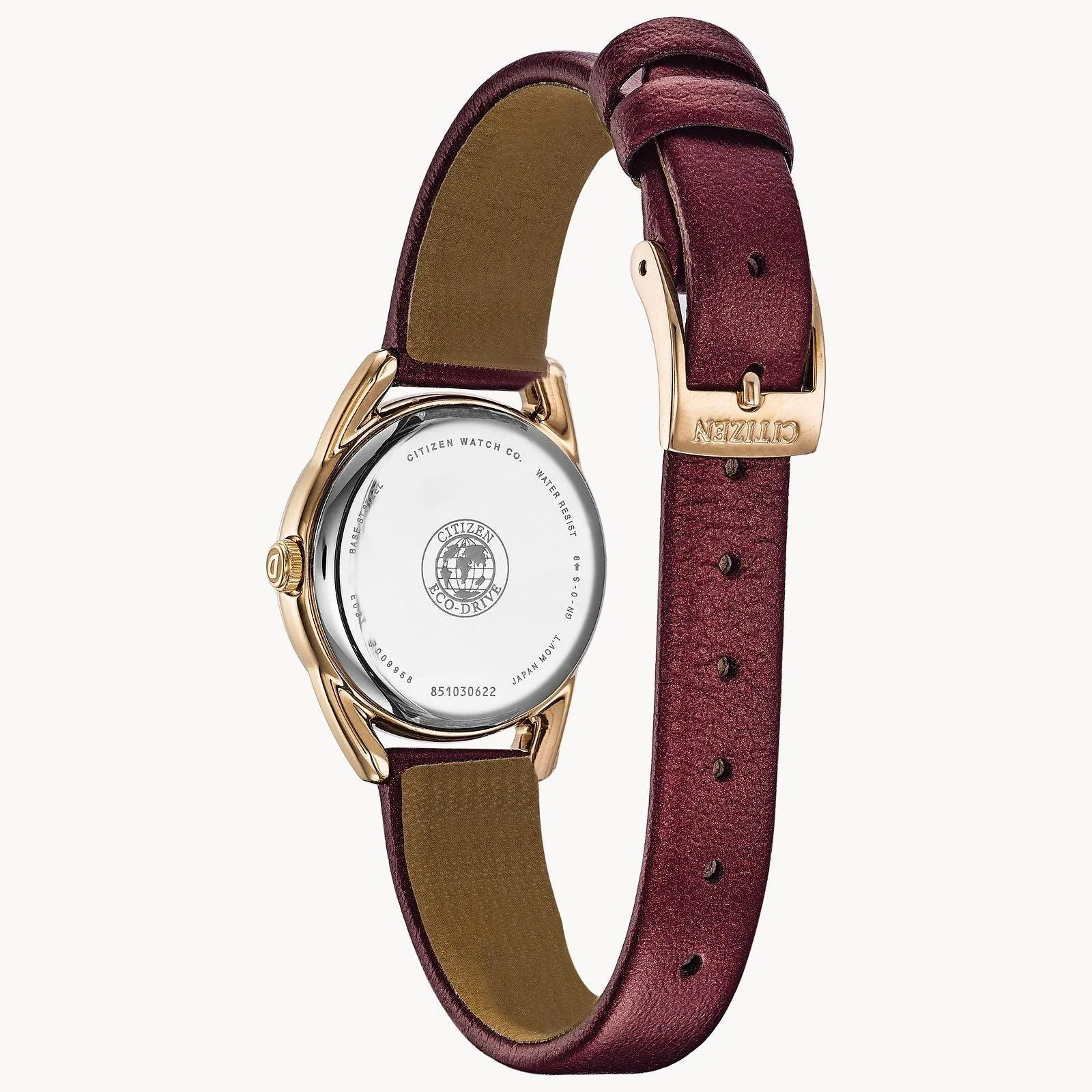 Citizen Eco Drive LTR (Long Term Relationship) Women's Watch EM0683-04D