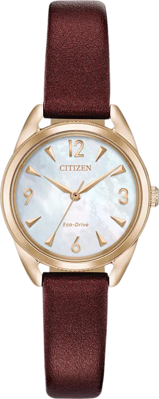Citizen Eco Drive LTR (Long Term Relationship) Women's Watch EM0683-04D