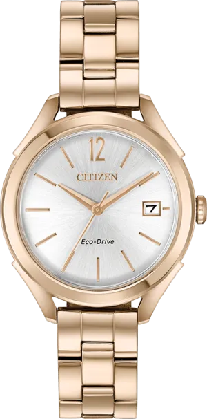 Citizen Eco Drive LTR (Long-Term Relationship) Women's Watch FE6143-56A