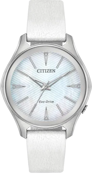 Citizen Eco Drive Modena Women's Watch EM0590-03D