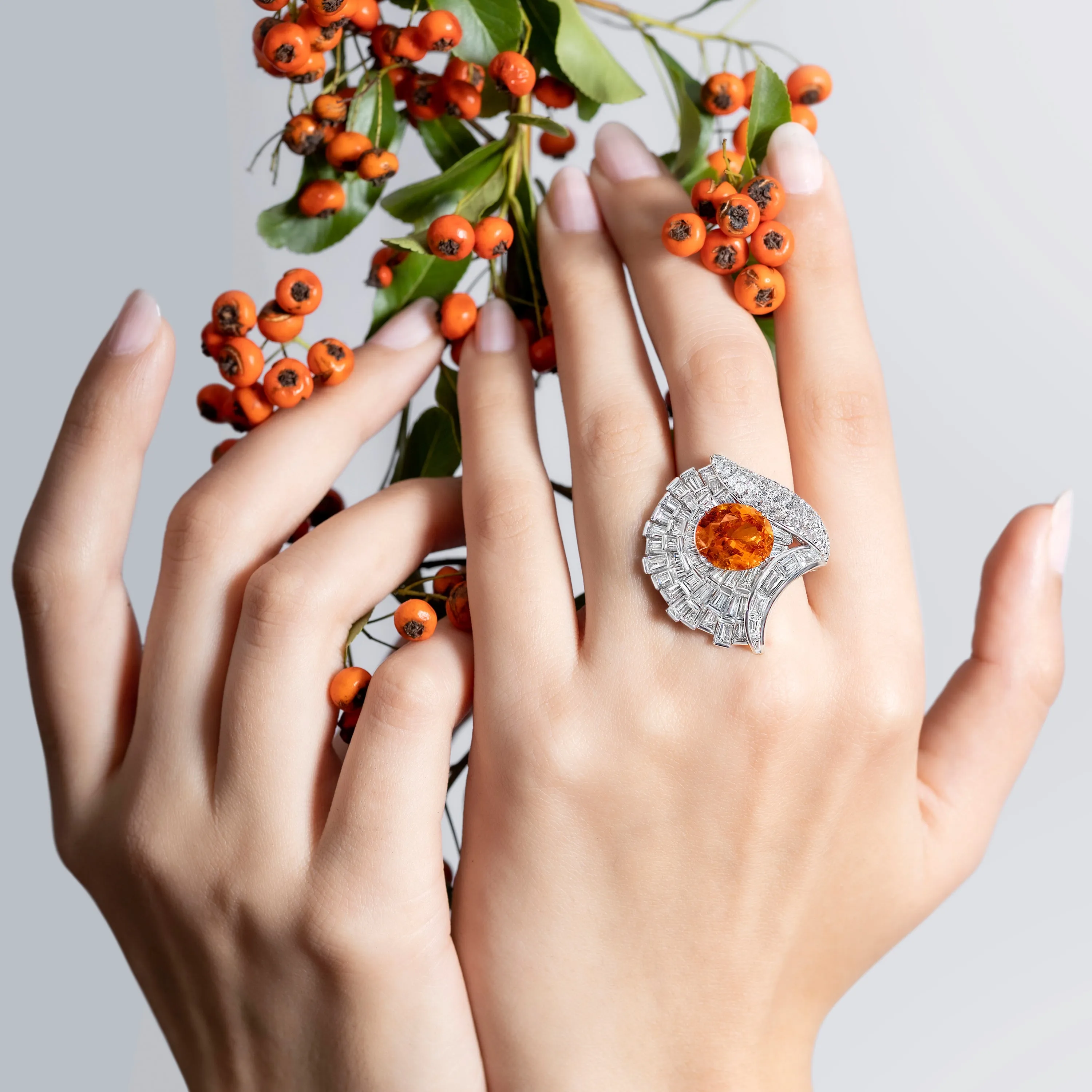 Fan Ring