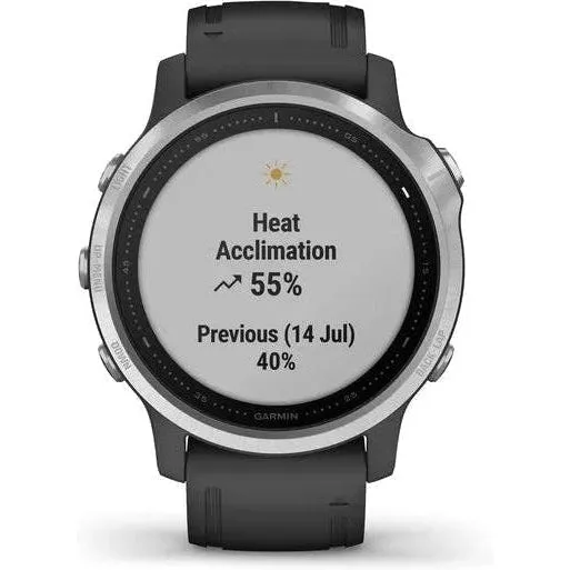 Garmin Fenix 6S Watch
