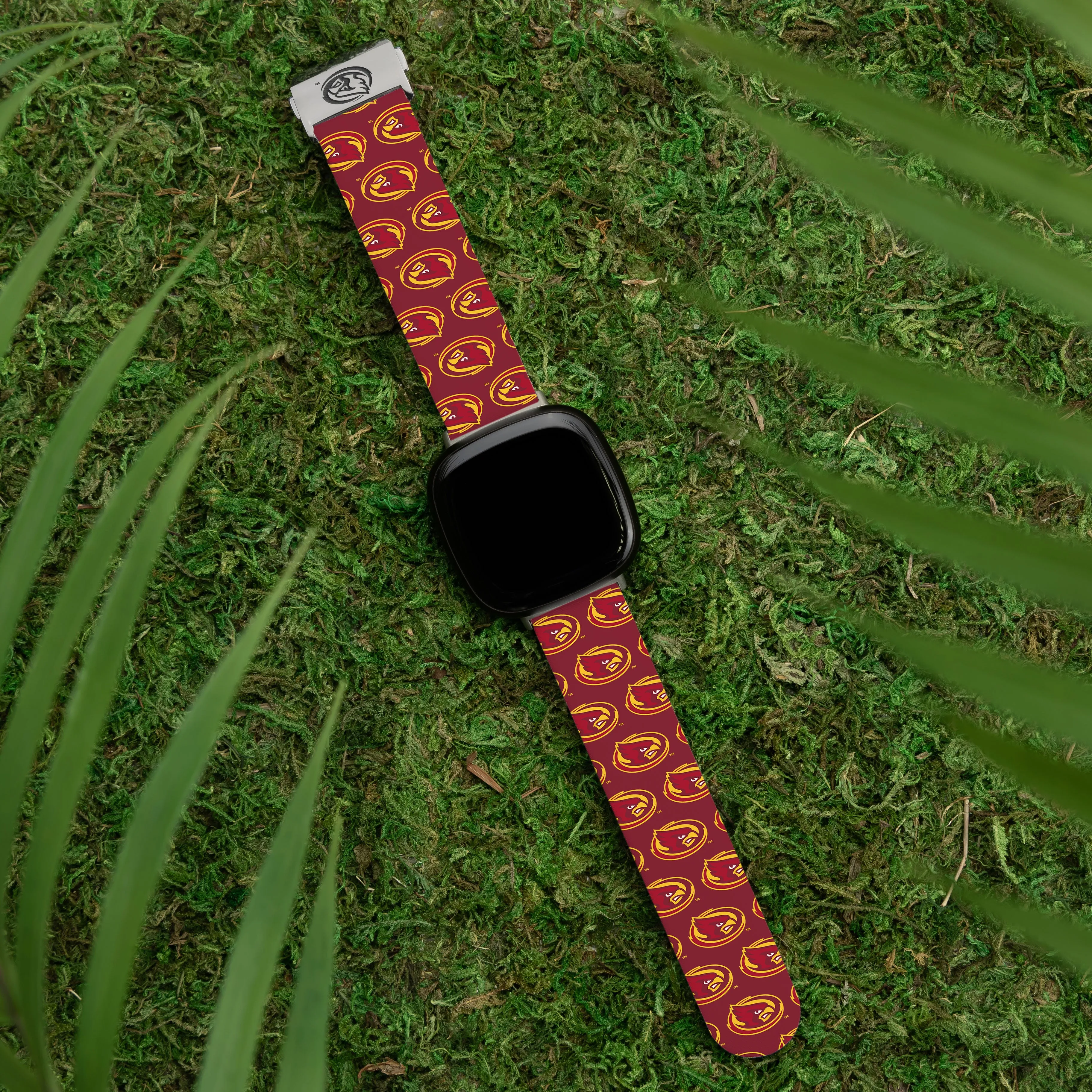 Iowa State Cyclones Signature Series Fitbit Versa 3 & Sense 1 Watch Band