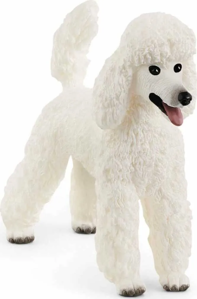 Schleich Poodle