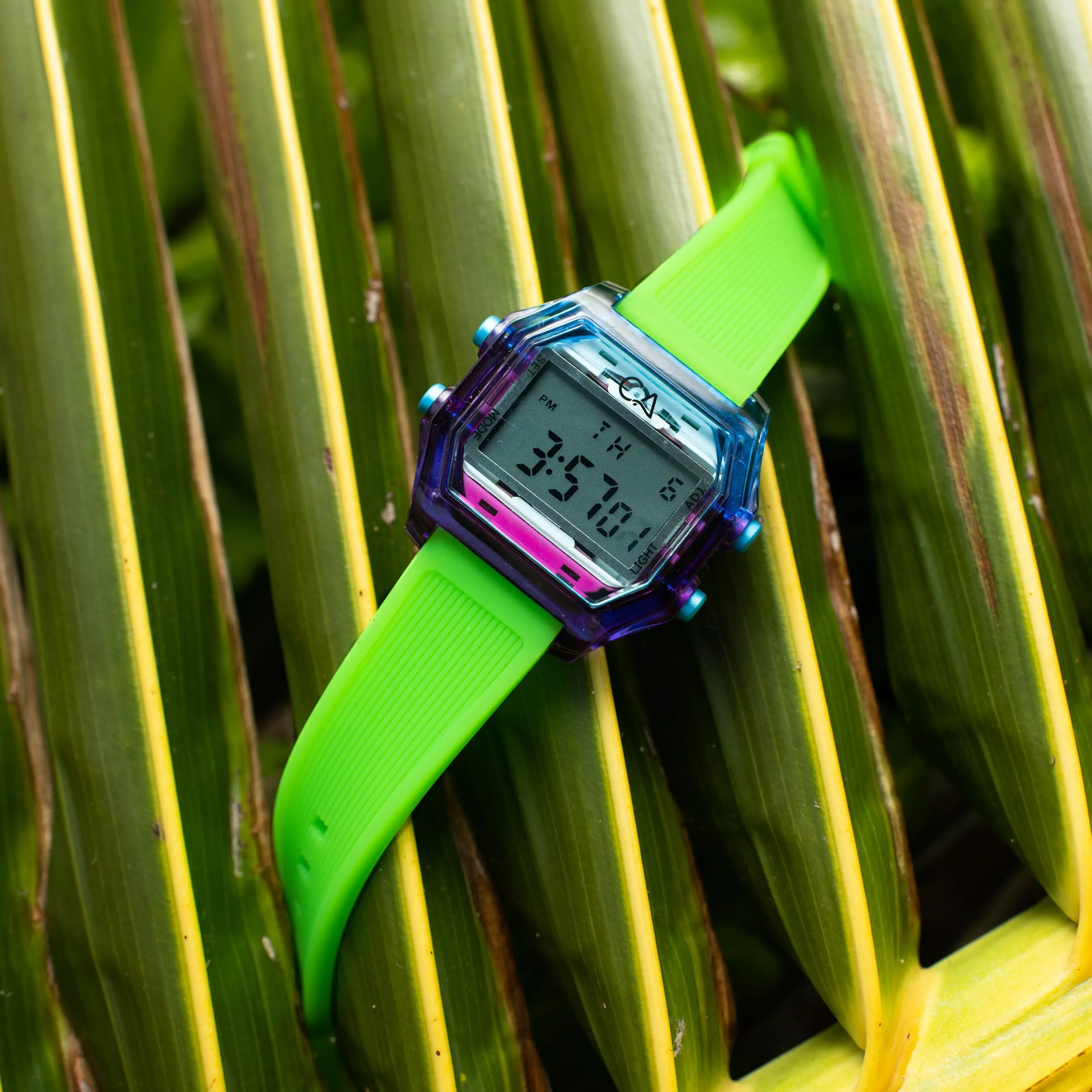 Venice Beach Digital Deep Ocean Lime